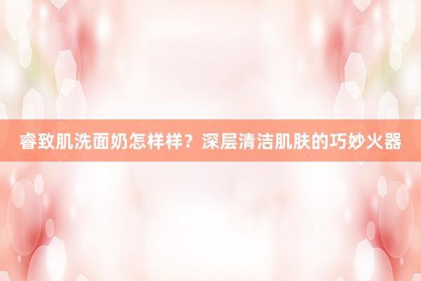 睿致肌洗面奶怎样样？深层清洁肌肤的巧妙火器