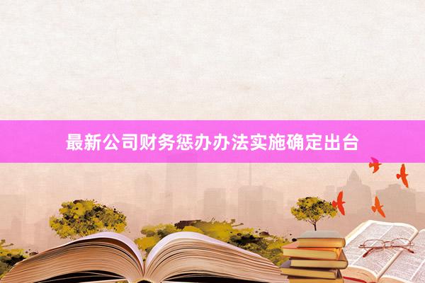 最新公司财务惩办办法实施确定出台